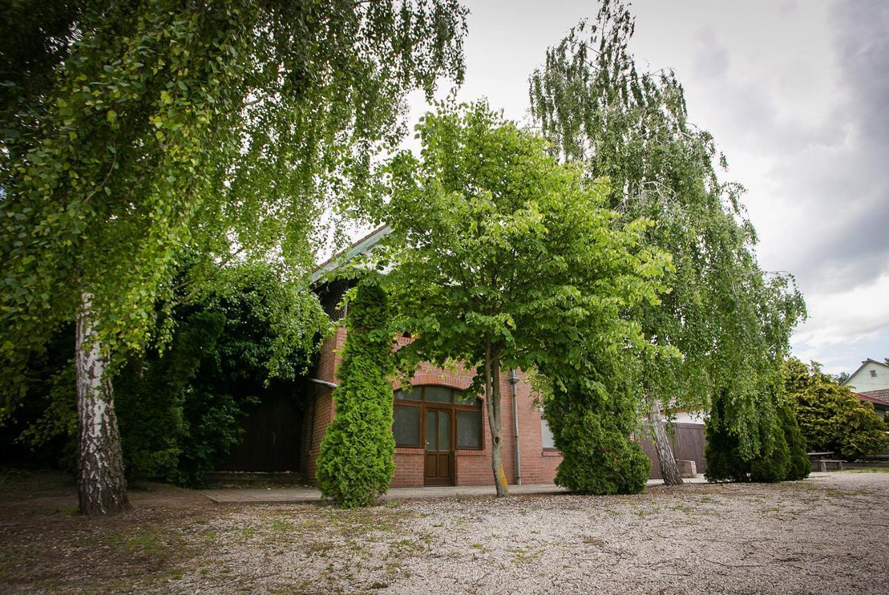 Forras Vendeghaz Villa Dunaegyhaza Eksteriør billede
